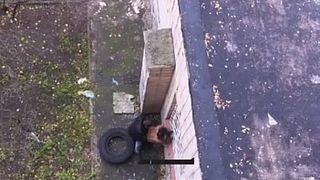 Мужик снял как на улице под его окнами по-быстрому трахают проститутку